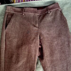 Express Maroon Columnist Pants